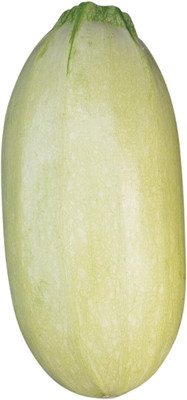 Qualtivate PUA-9A Great Griller Hybrid Summer Squash Seed(30 per packet)