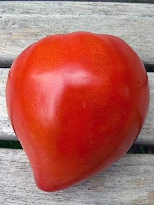 Qualtivate XXX-1A Tomato Bulls Oxheart Red Large Seed(300 per packet)