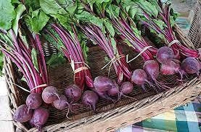 fixeded BEET ROOT SEED PREMIUM BEETROOT FOR VIBRANT HEALTH Seed(50 per packet)
