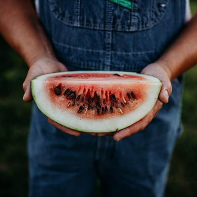 Qualtivate ICRA6-A Moon and Stars Red Watermelon Seed(100 per packet)