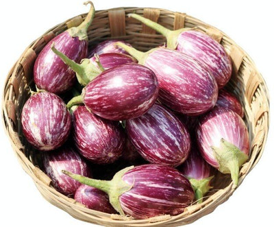 BDSresolve f1 hybrid brinjal seeds/ brinjal seeds 83 Seed(83 per packet)