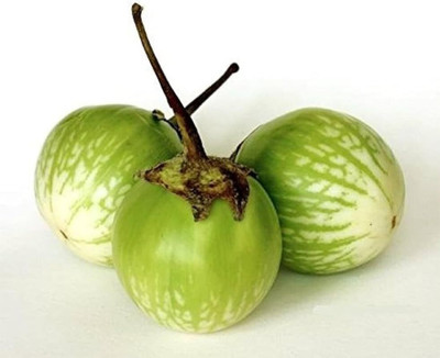 LPR BRINJAL SEEDS Seed(20 per packet)