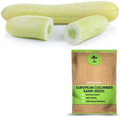 Qualtivate PUA-2A Premium European Cucumber- Kakri Seeds Seed(200 per packet)