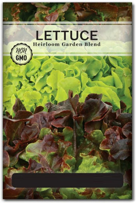 Quentova Heirloom Blend Lettuce 2.5gm Seed(2000 per packet)