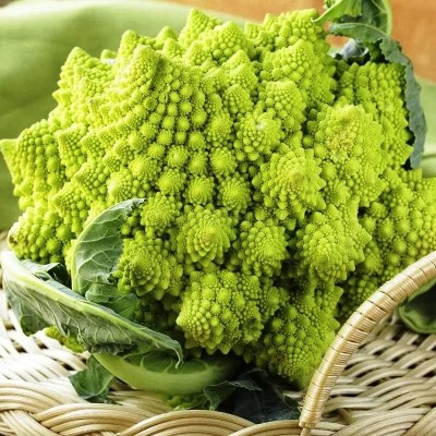 Qualtivate HUA-4A F1 Romanesco Broccoli Seed Seed(300 per packet)