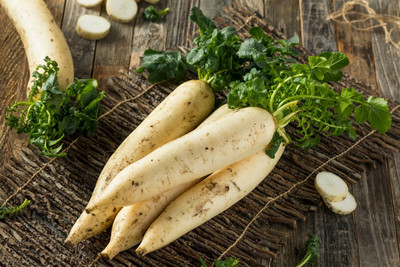 SeeGreen Organic Radish Seeds – Premium Quality Seeds for Home gardening Seed(67 per packet)
