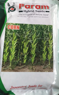 HYBRID 1kg F1 hybrid maize/corn/makka seeds highest yield variety long bhutta Seed(1 per packet)
