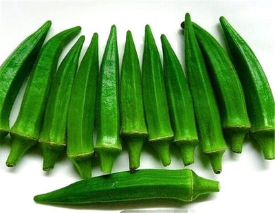 CYBEXIS F88Okra Seeds800 Seeds Seed(800 per packet)