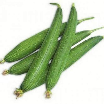 KNESSiN Hybrid Sponge Gourd Turai[200 Seeds] Seed(200 per packet)