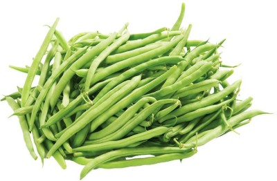 SEMPA Vegetable Seeds French Beans Seed(250 per packet)