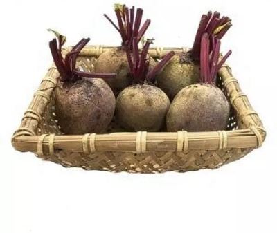 MYLAWN Beetroot - Red Ace Seed(1500 per packet)