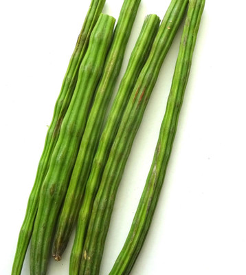 CEZIUS Drumstick/Sajna Moringa oleifera Fine Quality drumstick/moringa Oleifera Seed(120 per packet)