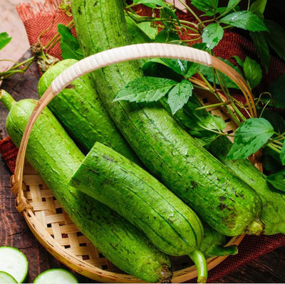 KNESSiN VXI-15 Sponge Gourd Seed(50 per packet)