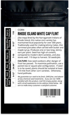 Qualtivate HYB-2A White Cap Flint Corn Seed(400 per packet)