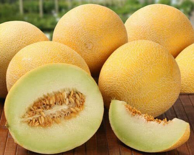 WILLVINE HUA-372 Sweet Musk Melon Caramel Honeydew Seed(200 per packet)