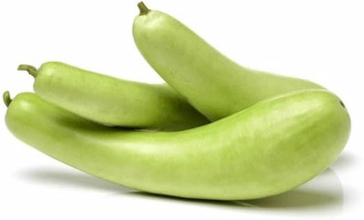 BDSresolve Hybrid bottle gourd seeds pack of 24 Seed(24 per packet)