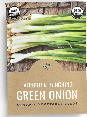 Qualtivate GBPT-8A Green Onion ‘Evergreen Bunching’ Seed(500 per packet)