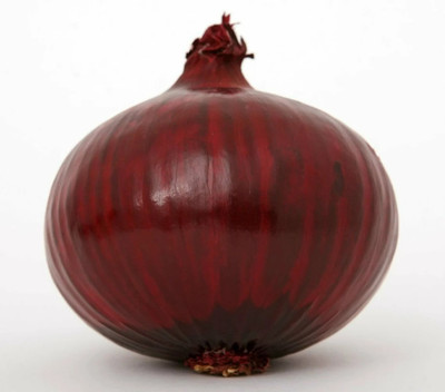 WATIKA Red niort onion Seed(2000 per packet)