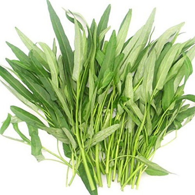 Qualtivate PUA-8A Thai Kangkong Spinach/Water Spinach/Kolmi Shak Seed(50 per packet)