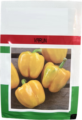 DIVINE CAPSICUM Seed(75 per packet)