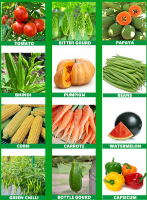 abiswas 12 Variety Vegetable Combo Pack for Garden - Fresh Seeds for Home Garden Seed(1000 per packet)