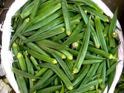 LPR LADY FINGER, (BINDI) Seed(30 per packet)