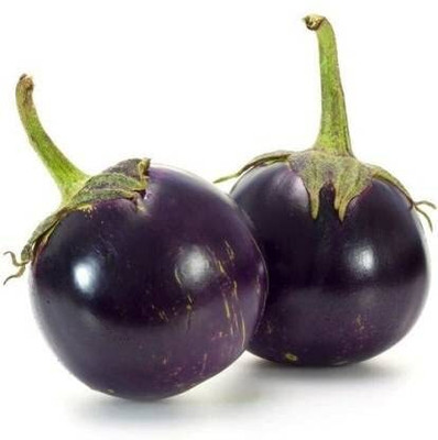 Qualtivate PUAS-4A F1 HYBRID BRINJAL ROUND/ GOOL BAINGAN Seed(300 per packet)