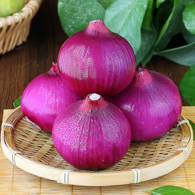 Quentova Red Super Nasik Onion-US-9C Seed(250 per packet)