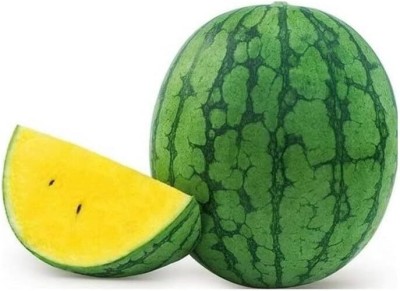 Qualtivate HUA-2A Yellow Watermelon Seeds Seed(100 per packet)