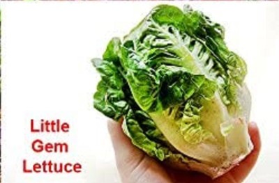 Qualtivate GBPT-6A Little Gem Lettuce Seeds Seed(300 per packet)