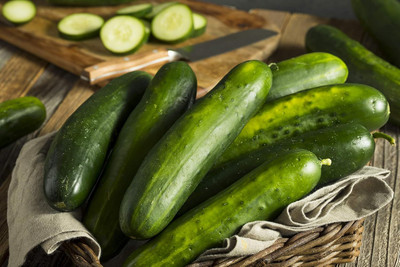 Qualtivate XXX-3A Sweeter Hybrid Cucumber Seeds Seed(300 per packet)