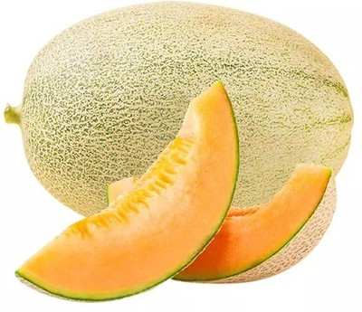 Quentova Sweet Hami Melon Muskmelon/Cantaloupe-IACR-33C Seed(200 per packet)