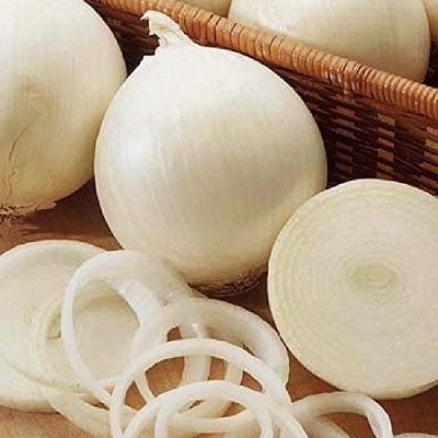 WILLVINE PUAS -VIII White Salad Onions Seeds [100g] Seed(300 per packet)
