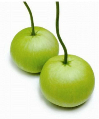 Avysa Chinese Bottle Gourd Seed(300 per packet)