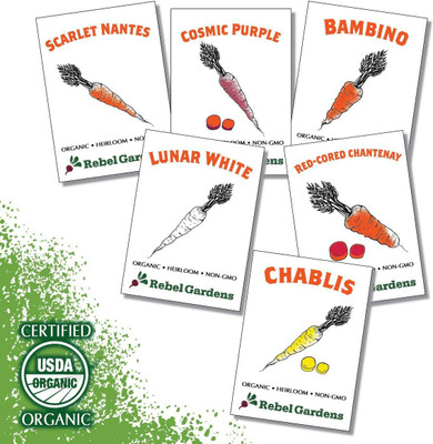 CYBEXIS XL-80 - Carrot - 6 Varieties - (250 Seeds) Seed(250 per packet)