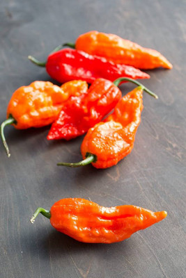 ibains Different varieties of chilli seeds Seed(55 per packet)