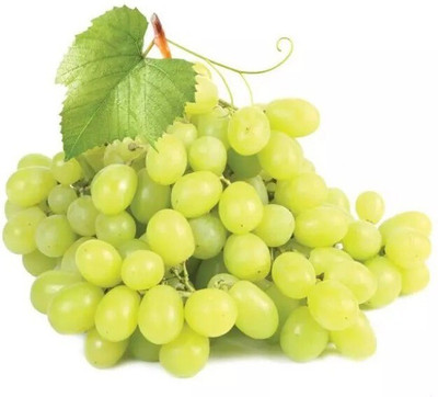 Quentova अंगूर के बीज Green Grapes Fruit-VNT-5E Seed(150 per packet)
