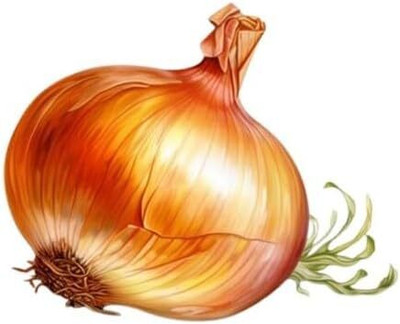 Biosnyg Non GMO Onion Stuttgart Seeds For Gardening-(3000 Seeds) Seed(3000 per packet)