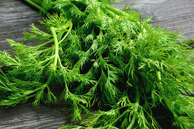 CYBEXIS HUA-31 - Organic Dill (Bouquet) - (750 Seeds) Seed(750 per packet)