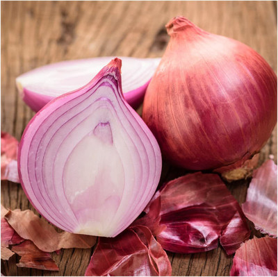 VibeX ® VLR-189 Red Burgundy Onion Seeds Seed(1000 per packet)