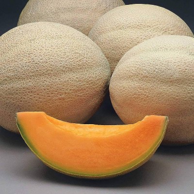 wequality hybrid muskmelon fruit seeds/muskmelon seed 26 Seed(26 per packet)