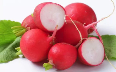 MAA Radish, Radish Red Ball Seed(75 per packet)