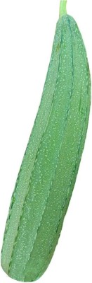 CYBEXIS Hybrid Long Smooth Sponge Gourd Seeds800 Seeds Seed(800 per packet)