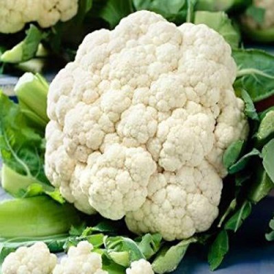 Aywal HIGH QUALITY Cauliflower Seed(40 g)