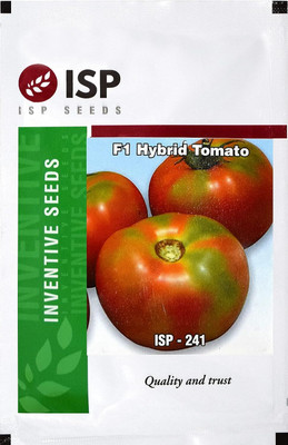 WILLVINE ISP-241 Tomato Seeds for Kitchen Garden [10g, 3000 Seeds] Seed(3000 per packet)