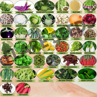 FLARE SEEDS 40 Variety of Vegetable Seeds Combo Pack Build Your Own Home Garden Seed(40 per packet)