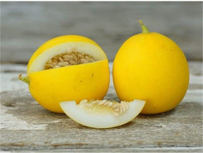 WILLVINE XLR-449 Vine Peach Yellow Musk Melon Seeds Seed(200 per packet)