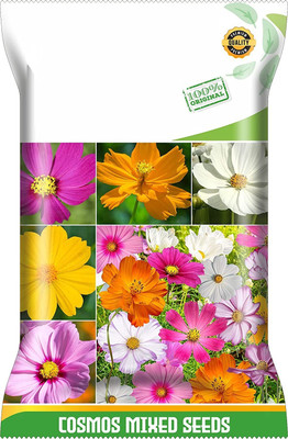 CYBEXIS PAU-28 - Imp.Cosmos Flowers Mixed Variety - (90 Seeds) Seed(90 per packet)