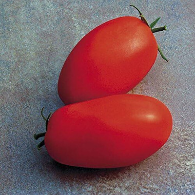 Qualtivate HYB-7A Supremo Tomato Seed(300 per packet)