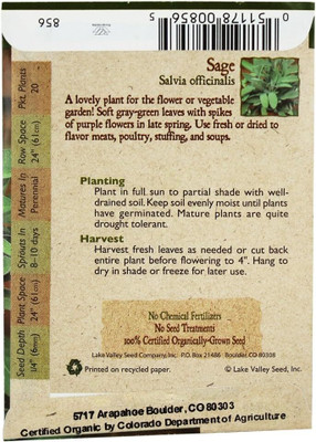 Qualtivate PUA5-A Organic Sage Heirloom Seed Seed(100 per packet)